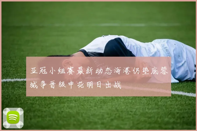 亚冠小组赛最新动态海港仍垫底蓉城争晋级申花明日出战