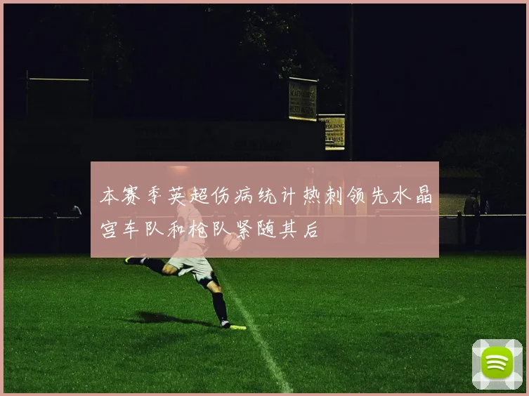 本赛季英超伤病统计热刺领先水晶宫车队和枪队紧随其后